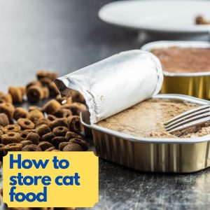 how to store cat food